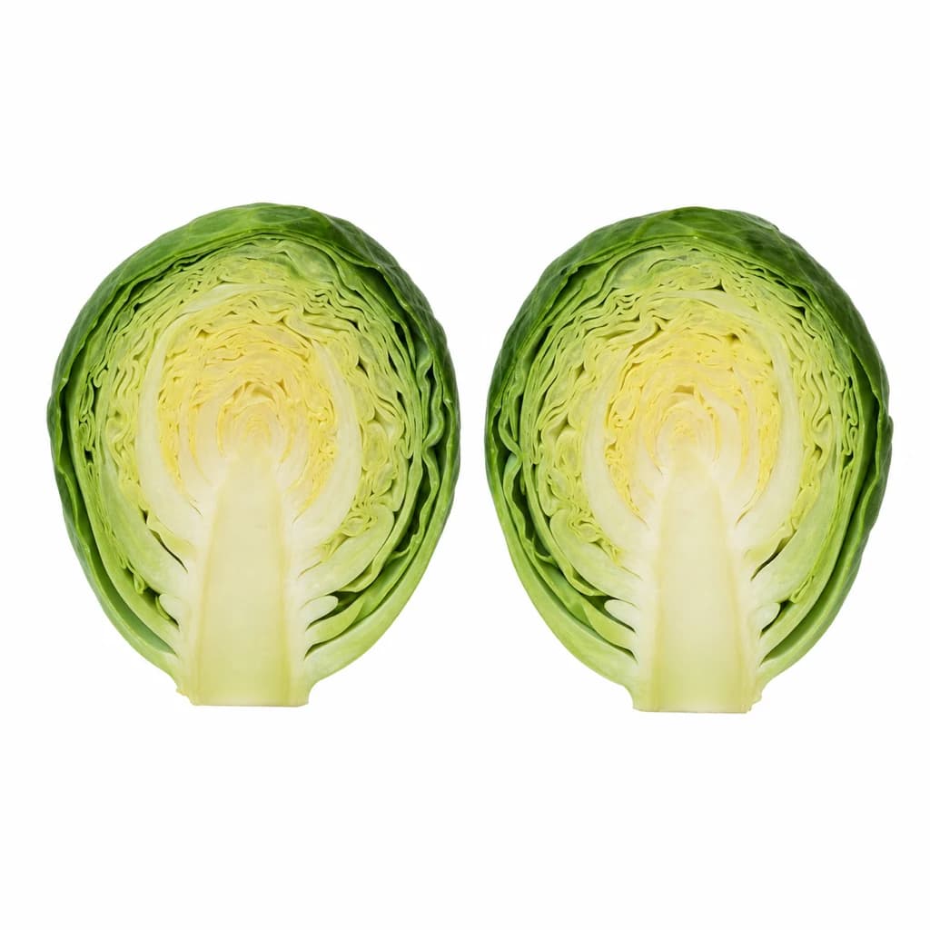 Cross-section