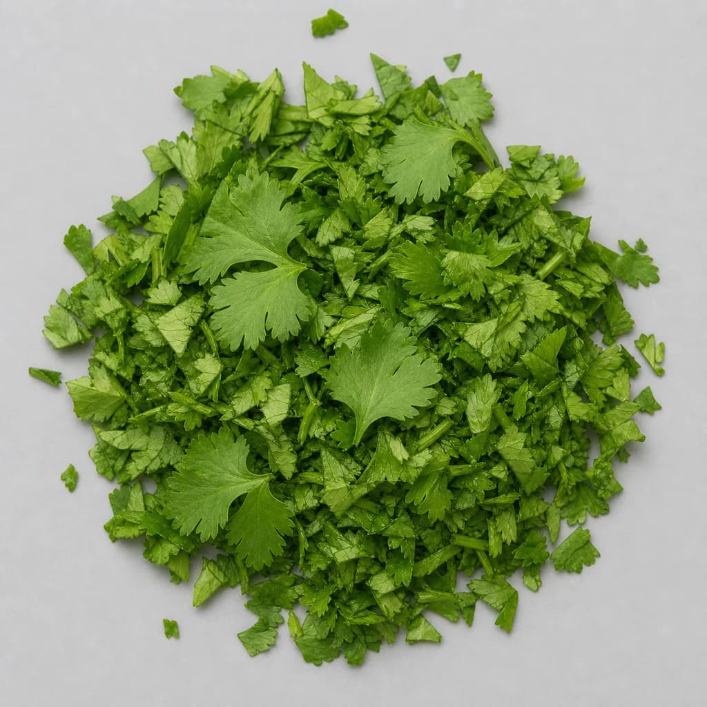 Cilantro