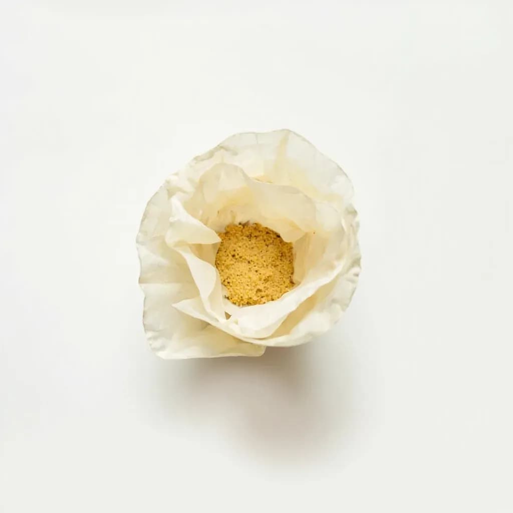 Coffee Filter