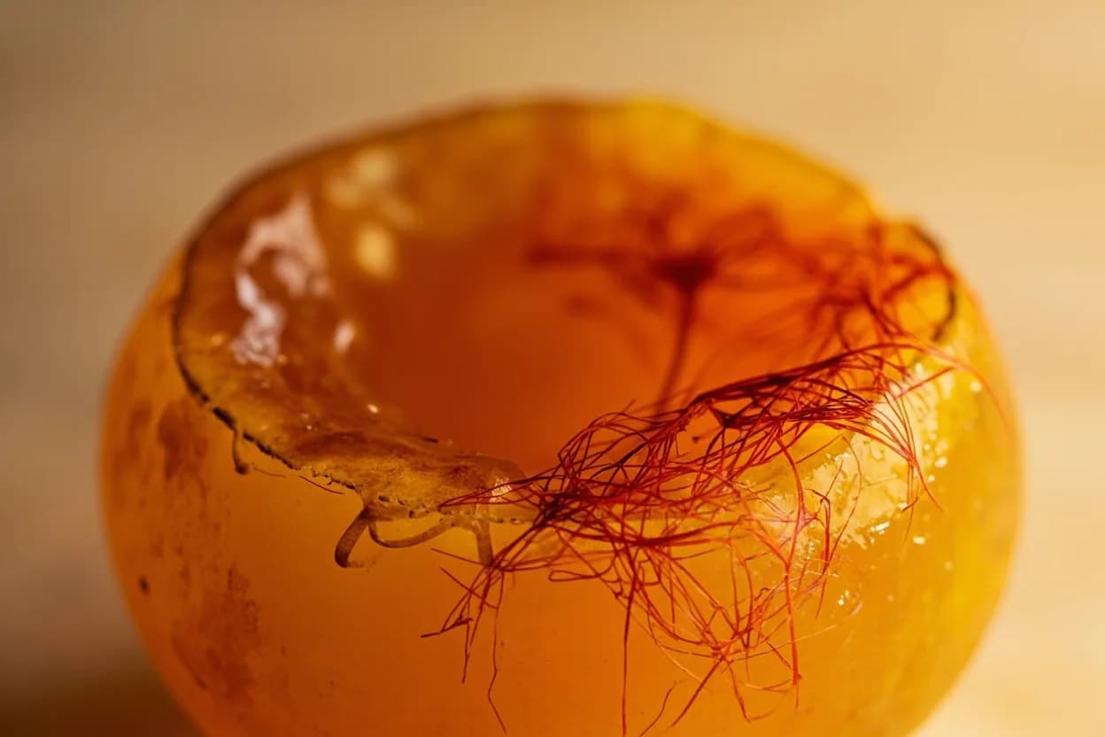 Saffron Blooming Temperature