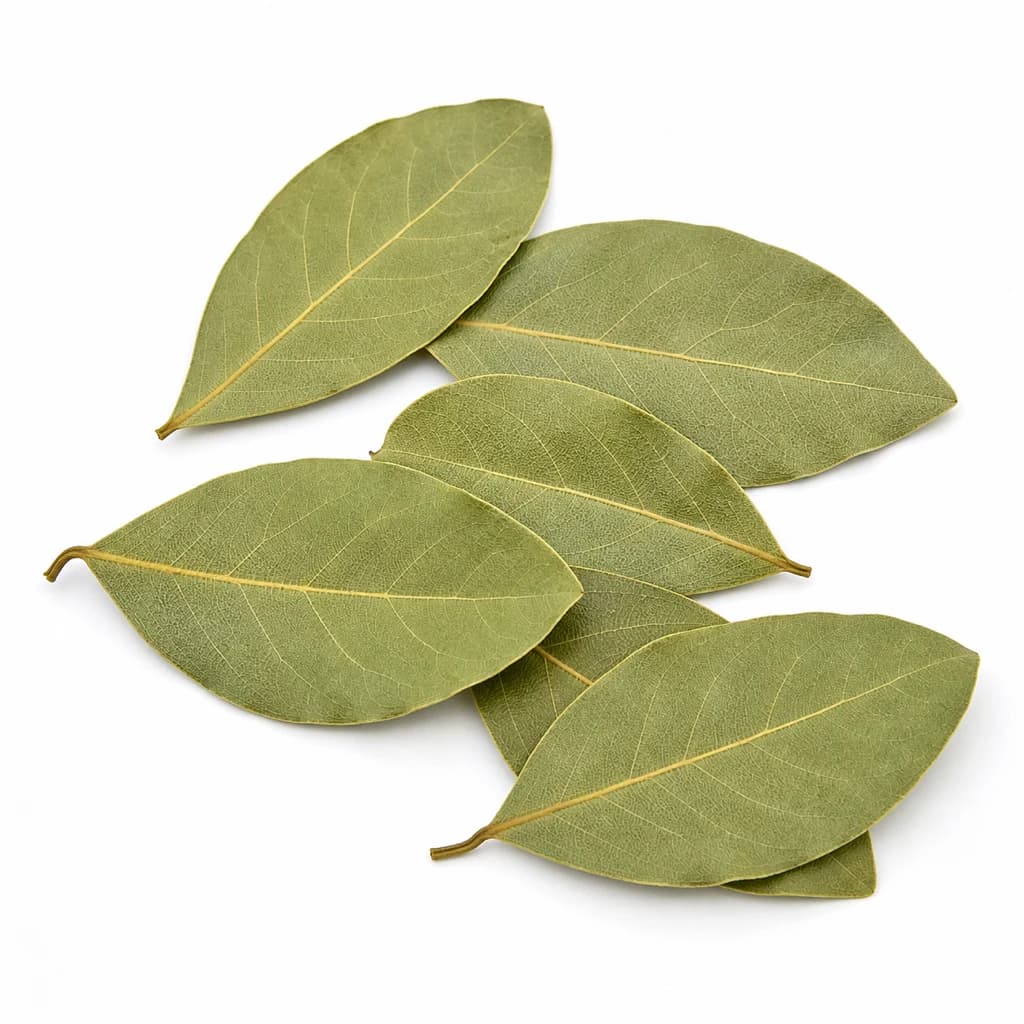 Bay Leaf