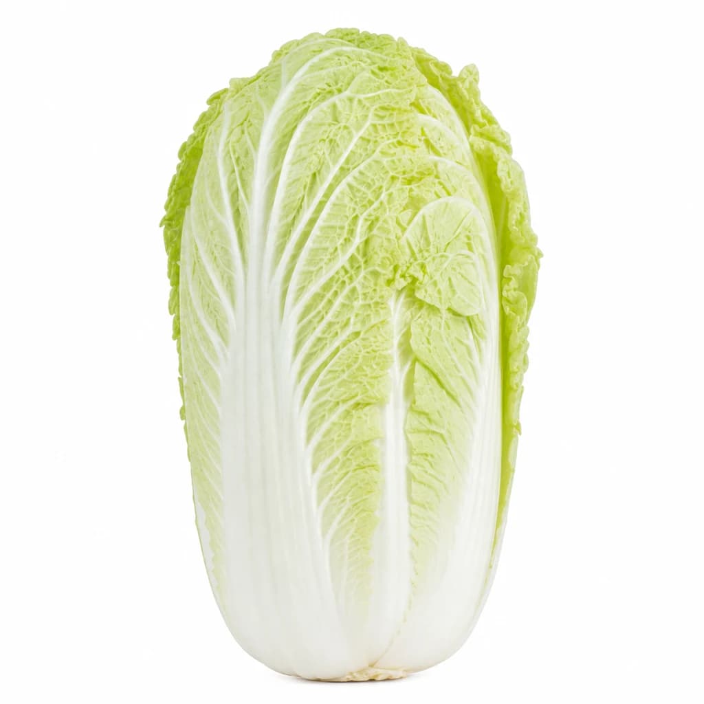Chinese Cabbage — Natural form