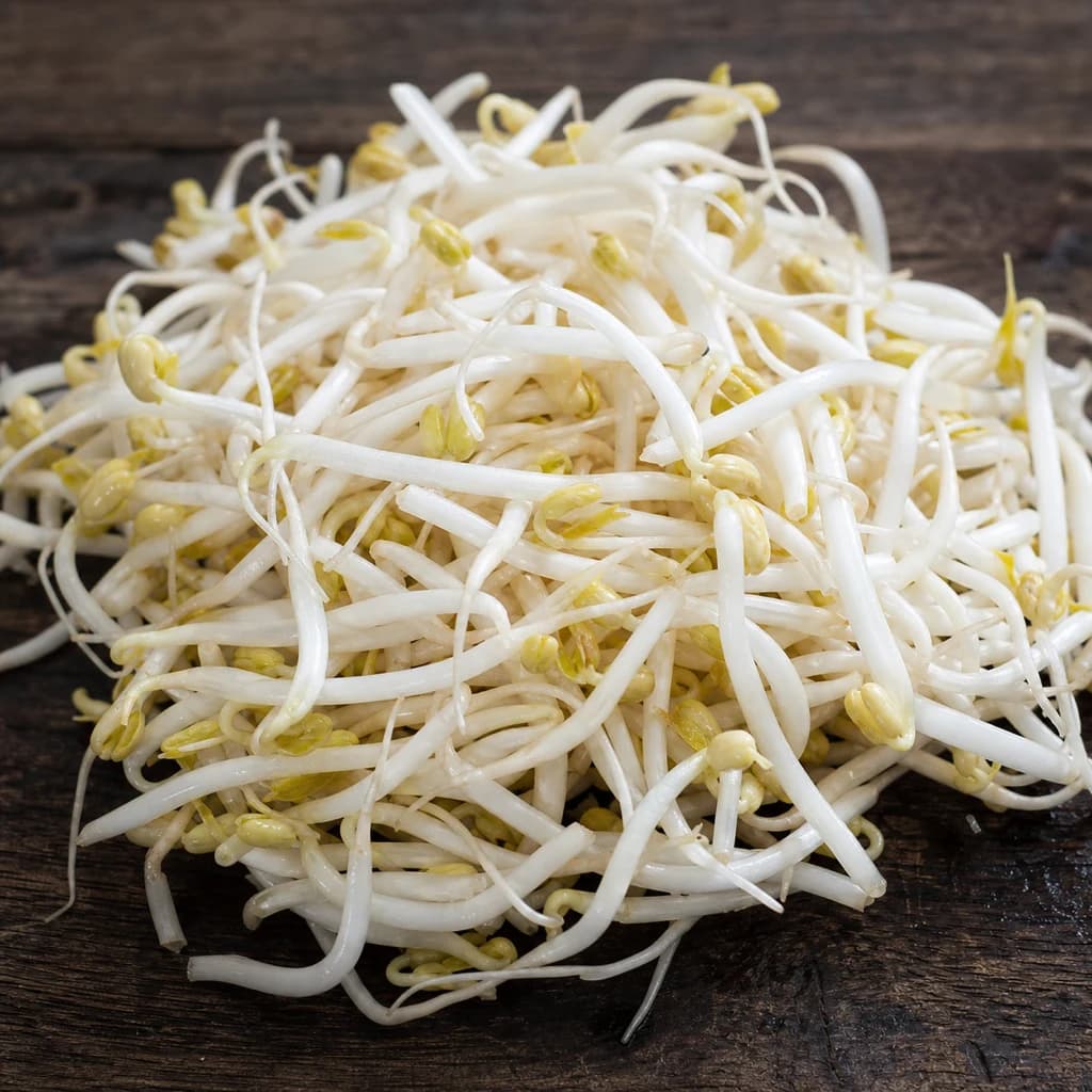 Bean Sprout — Natural form