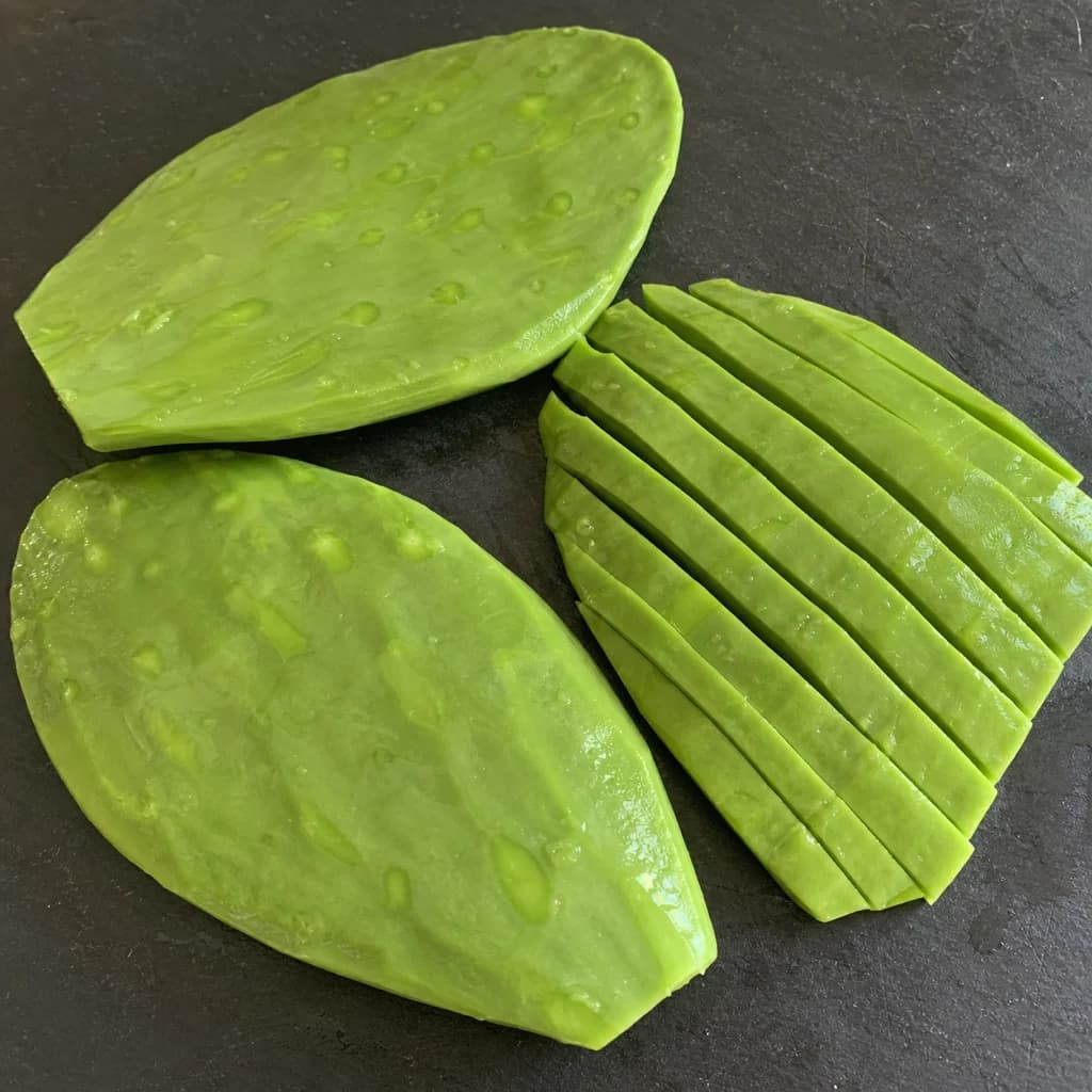 Nopal Cactus Paddle