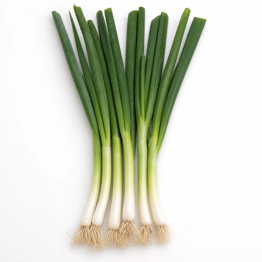 Scallion