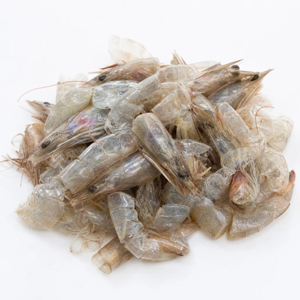 Shrimp Shells