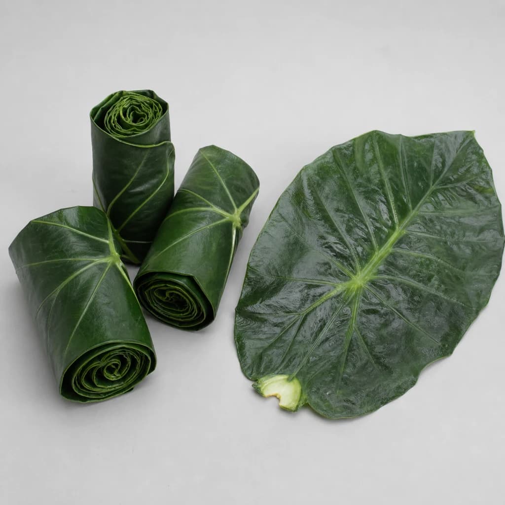 Taro Leaf