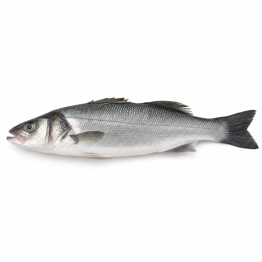 Whole Sea Bass (Branzino)