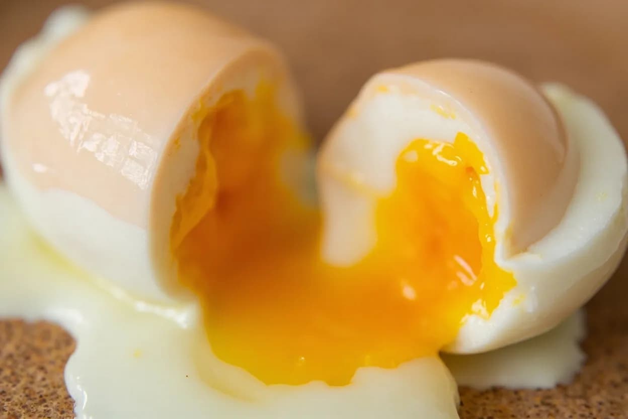 Egg: Soft-Poached vs. Hard-Poached at Soft-poached yolk: 63–65°C (145–149°F); hard-poached yolk: 77°C+ (170°F+). Egg white proteins begin denaturing at 63°C and are fully set by 70°C. Visual cues: Soft-poached: white is opaque and barely resistant to a finger-press; yolk visibly jiggles when the egg is lifted, Soft-poached: when cut, yolk flows freely and coats the plate, Hard-poached: white is firm and slightly rubbery; no jiggle in the yolk.