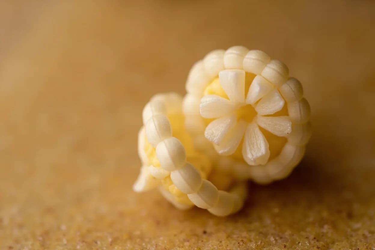 Hominy Bloom (Pozole Flowering) at range. Dried hominy (corn that has been nixtamalized — soaked and cooked in an alkaline cal/lime solution — then dried) must be rehydrated and cooked to achieve full starch gelatinization. Visual cues: Each kernel visually opens at the tip into four distinct lobes, resembling a small flower or a popped kernel of corn, Bloomed hominy feels completely tender throughout when pressed between two fingers — no hard starchy center, The broth becomes lightly milky and thickened from released corn starch.